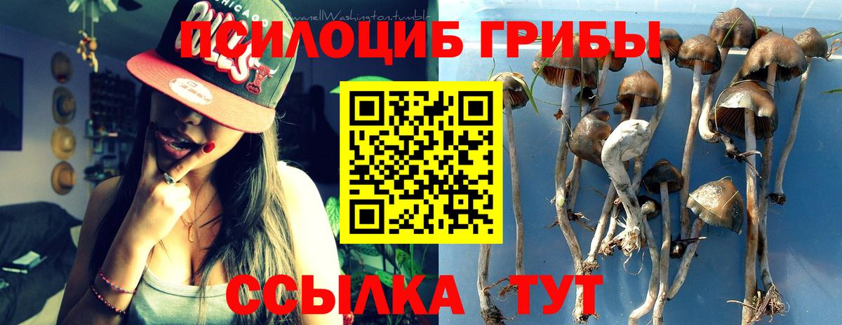 Ливны  Галлюциногенные грибы Psilocybe  Вход с VPN 